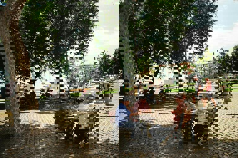 Chess Enthusiasts Fill Park Pavilion For Spontaneous Day-Long Tournament